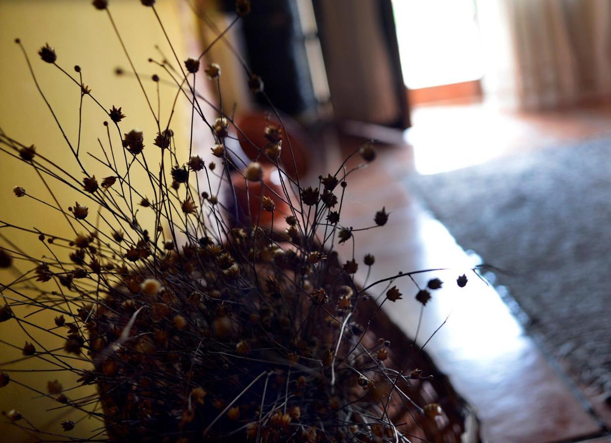 La Casita De Leire Konuk evi Tamajon Dış mekan fotoğraf