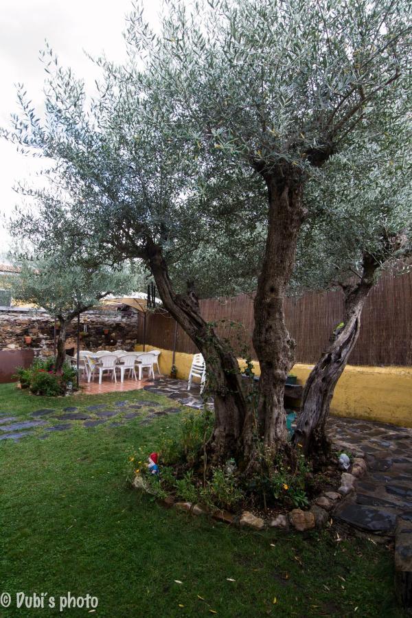 La Casita De Leire Konuk evi Tamajon Dış mekan fotoğraf