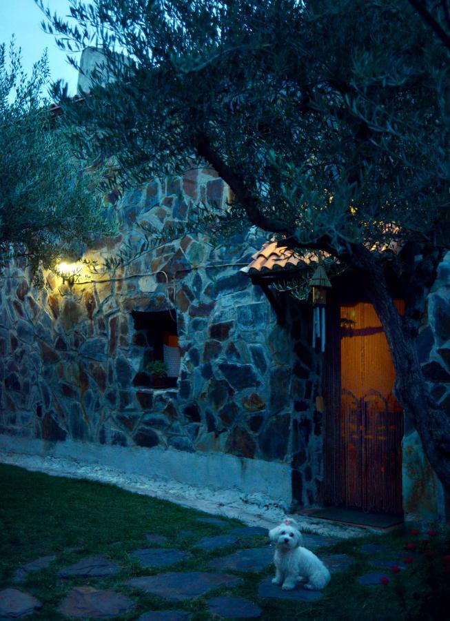 La Casita De Leire Konuk evi Tamajon Dış mekan fotoğraf