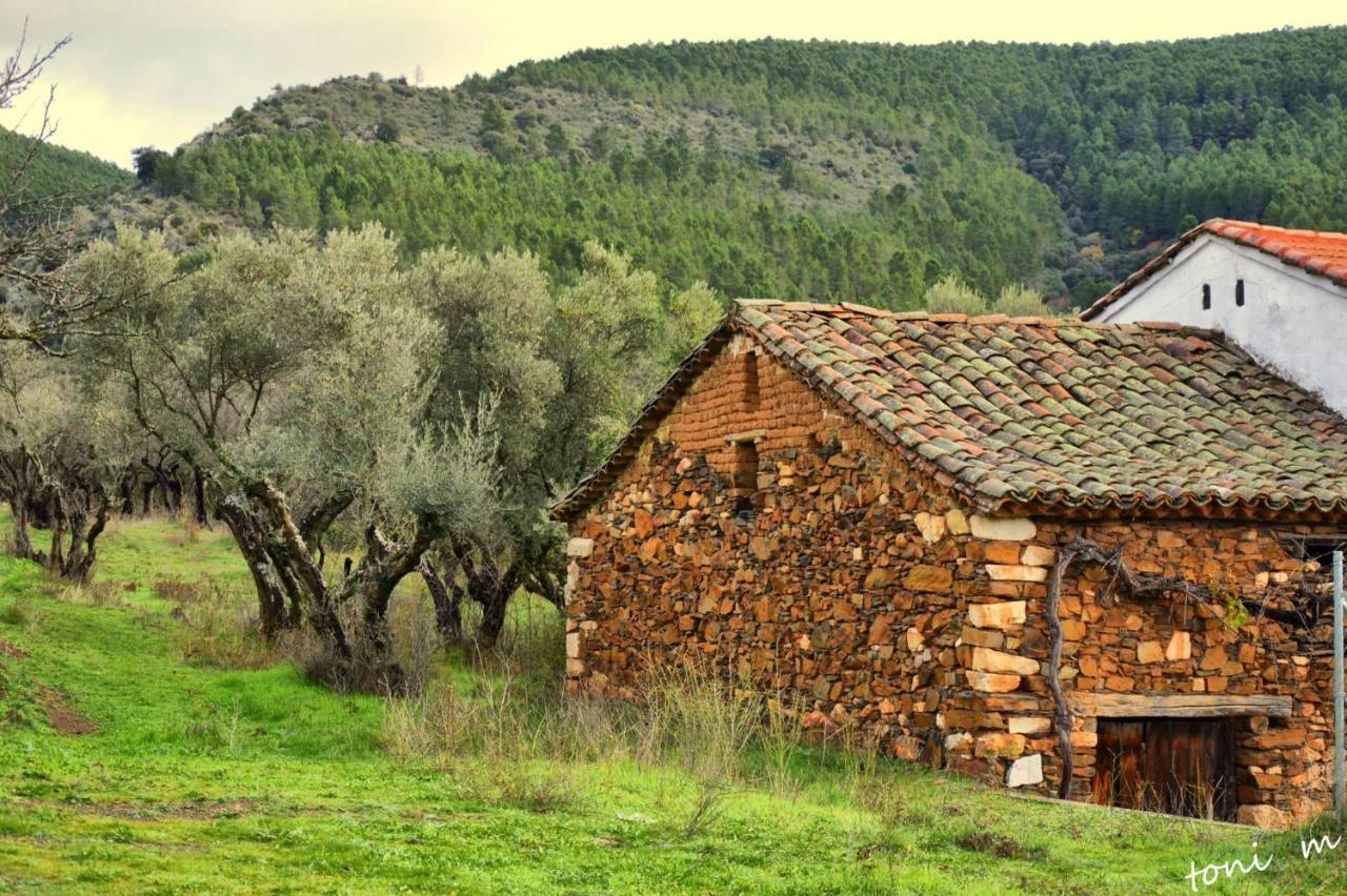 La Casita De Leire Konuk evi Tamajon Dış mekan fotoğraf